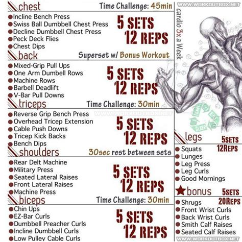 ripped fitness center|lifting programs to get ripped.